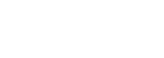 OPTOVIEW LOGO w